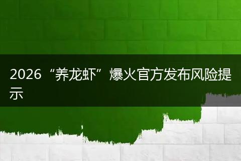 2026“养龙虾”爆火官方发布风险提示