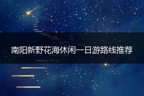 南阳新野花海休闲一日游路线推荐