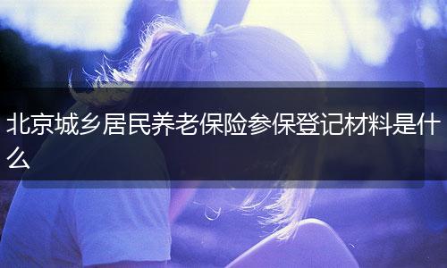 北京城乡居民养老保险参保登记材料是什么