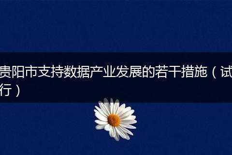 贵阳市支持数据产业发展的若干措施（试行）