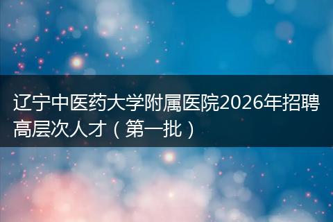 辽宁中医药大学附属医院2026年招聘高层次人才（第一批）