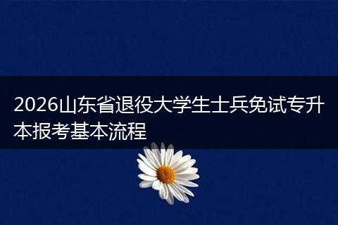 2026山东省退役大学生士兵免试专升本报考基本流程