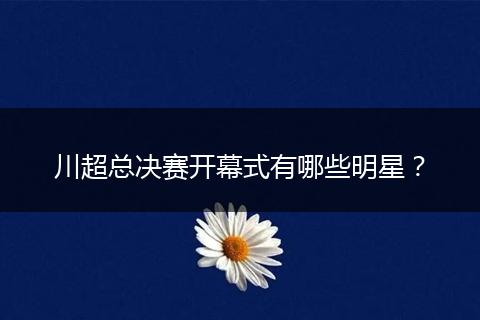 川超总决赛开幕式有哪些明星？
