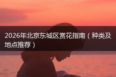 2026年北京东城区赏花指南（种类及地点推荐）