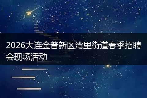 2026大连金普新区湾里街道春季招聘会现场活动