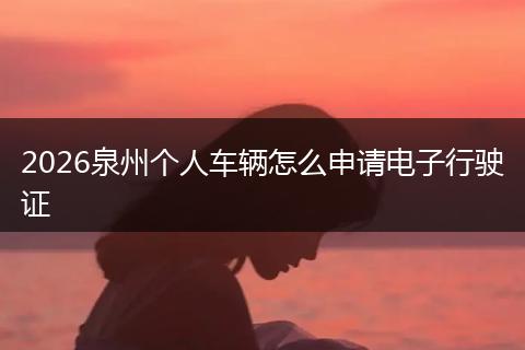 2026泉州个人车辆怎么申请电子行驶证