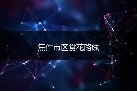 焦作市区赏花路线