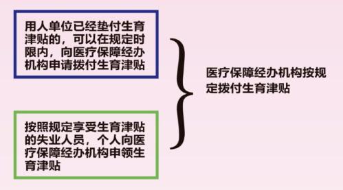 广州女性的8大免费福利_补贴（2026）
