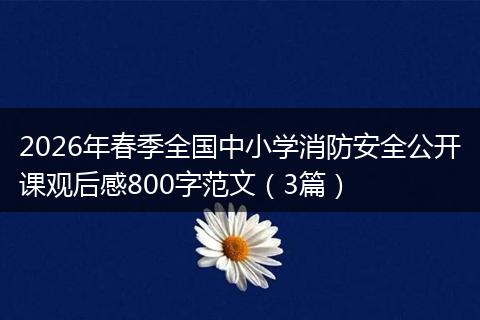 2026年春季全国中小学消防安全公开课观后感800字范文（3篇）