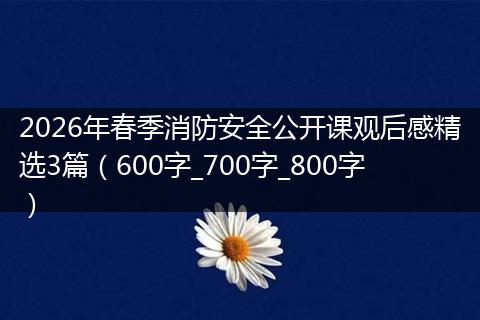 2026年春季消防安全公开课观后感精选3篇（600字_700字_800字）