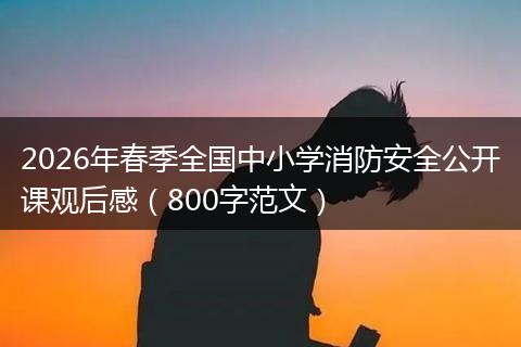 2026年春季全国中小学消防安全公开课观后感（800字范文）