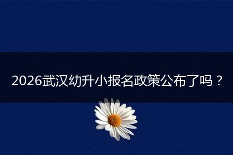 2026武汉幼升小报名政策公布了吗？
