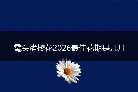 鼋头渚樱花2026最佳花期是几月