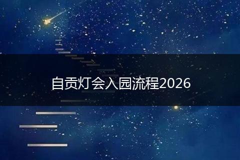 自贡灯会入园流程2026
