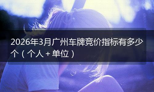 2026年3月广州车牌竞价指标有多少个（个人＋单位）