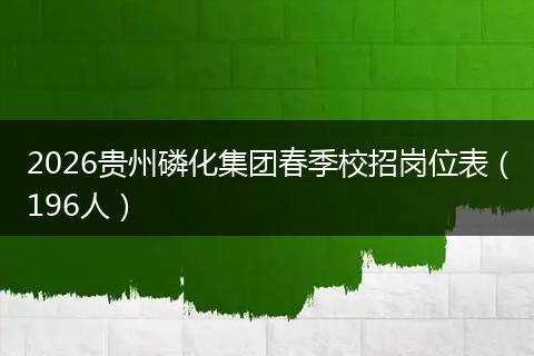 2026贵州磷化集团春季校招岗位表（196人）