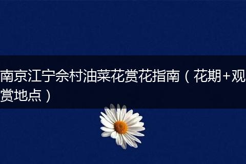 南京江宁佘村油菜花赏花指南（花期+观赏地点）