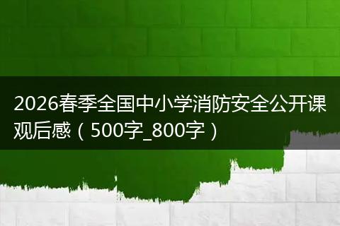 2026春季全国中小学消防安全公开课观后感（500字_800字）