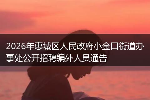 2026年惠城区人民政府小金口街道办事处公开招聘编外人员通告
