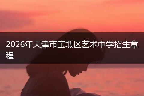 2026年天津市宝坻区艺术中学招生章程