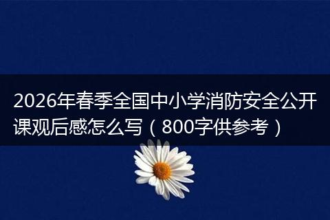 2026年春季全国中小学消防安全公开课观后感怎么写（800字供参考）