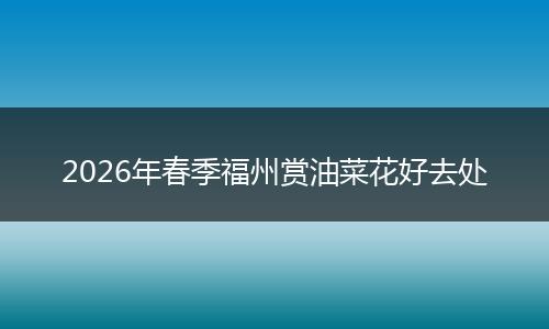 2026年春季福州赏油菜花好去处