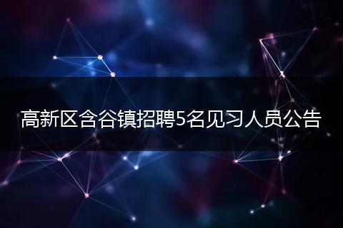 高新区含谷镇招聘5名见习人员公告