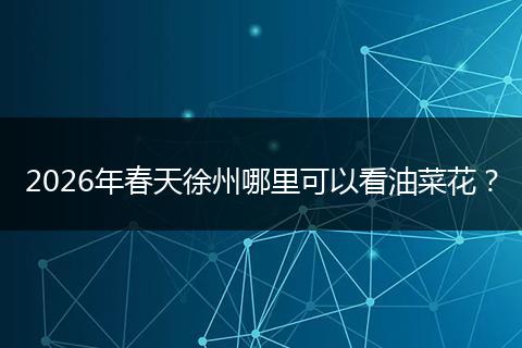2026年春天徐州哪里可以看油菜花？