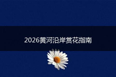 2026黄河沿岸赏花指南