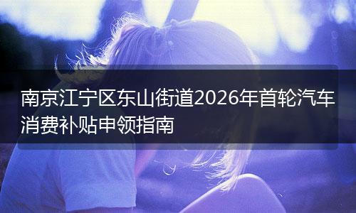 南京江宁区东山街道2026年首轮汽车消费补贴申领指南