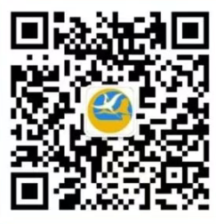 2026年厦门港务控股集团春季校园招聘指南
