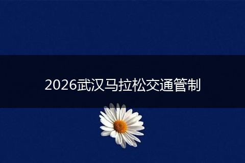 2026武汉马拉松交通管制