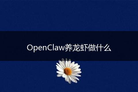 OpenClaw养龙虾做什么
