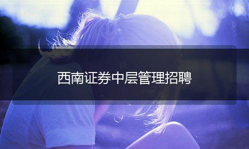 西南证券中层管理招聘