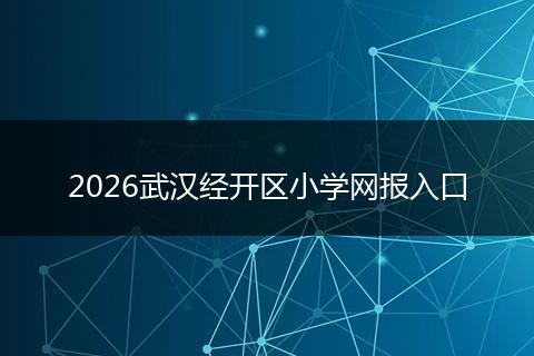 2026武汉经开区小学网报入口