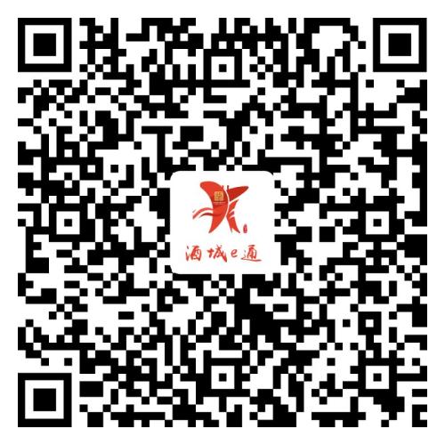 泸州有奖发票流程及入口2026