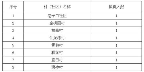 宁乡巷子口镇2026年村后备选拔报名