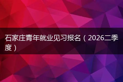 石家庄青年就业见习报名（2026二季度）