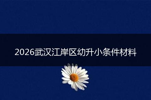 2026武汉江岸区幼升小条件材料