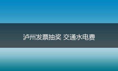 泸州发票抽奖 交通水电费
