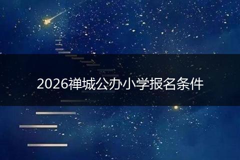 2026禅城公办小学报名条件