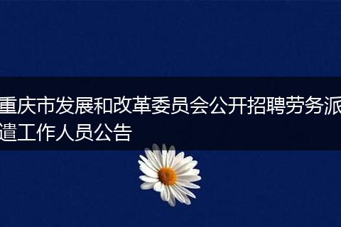 重庆市发展和改革委员会公开招聘劳务派遣工作人员公告