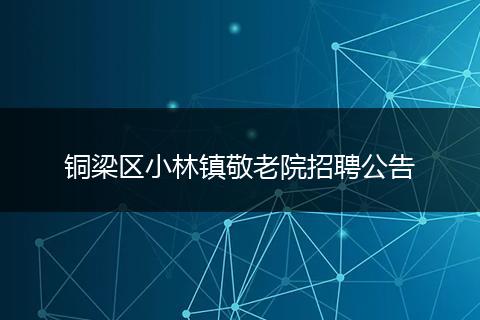 铜梁区小林镇敬老院招聘公告