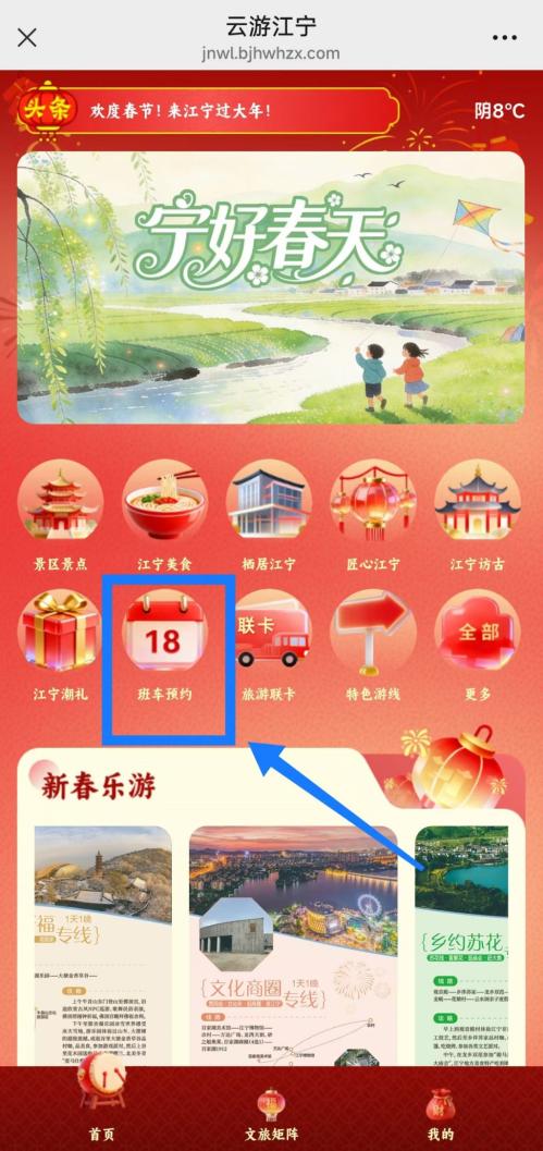 2026江宁赏花专线预约攻略