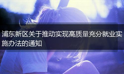 浦东新区关于推动实现高质量充分就业实施办法的通知