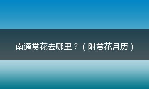 南通赏花去哪里？（附赏花月历）