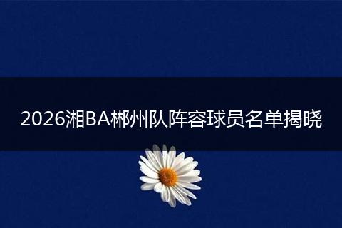 2026湘BA郴州队阵容球员名单揭晓