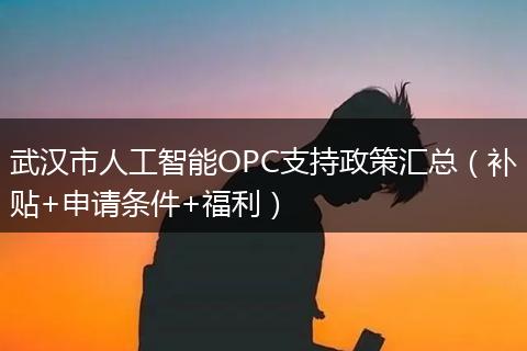 武汉市人工智能OPC支持政策汇总（补贴+申请条件+福利）