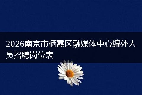 2026南京市栖霞区融媒体中心编外人员招聘岗位表