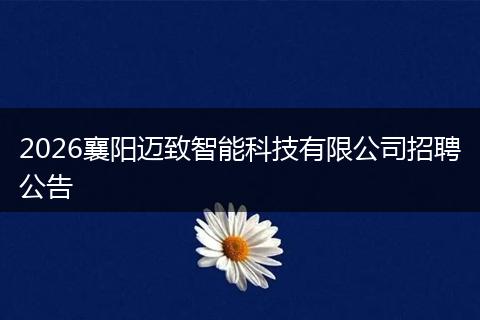 2026襄阳迈致智能科技有限公司招聘公告